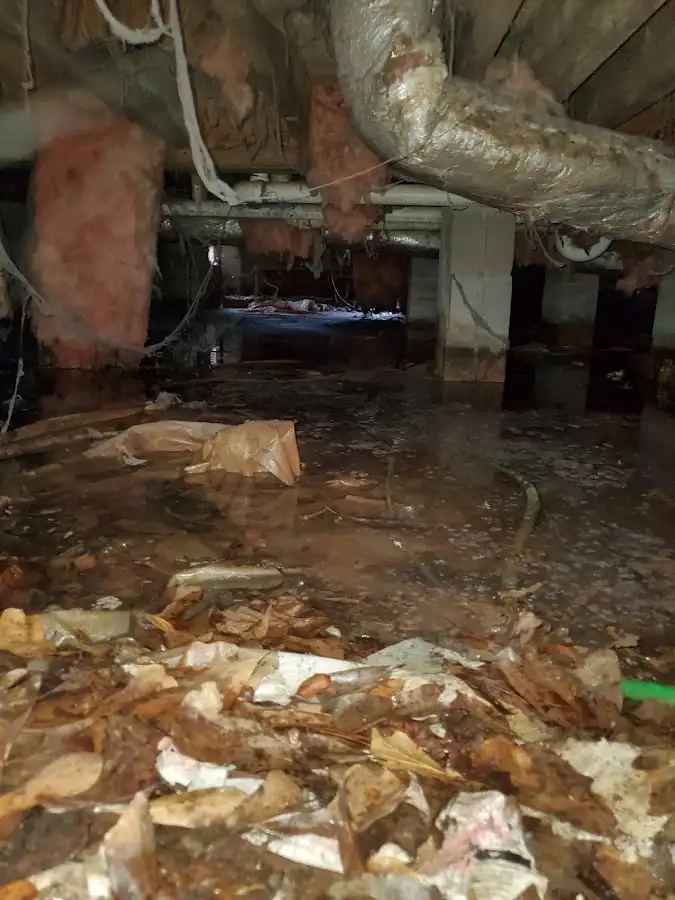 Crawl space flood assessment for Leak Detection & Repair in Stamford